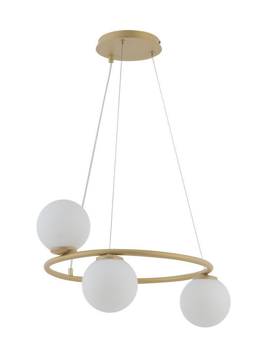 Sigma Hängelampe Gold mit Fassung G9 70cm.