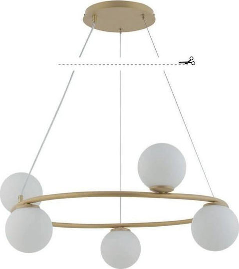 Sigma Pendant Light Gold for 5 Bulbs G9 70cm