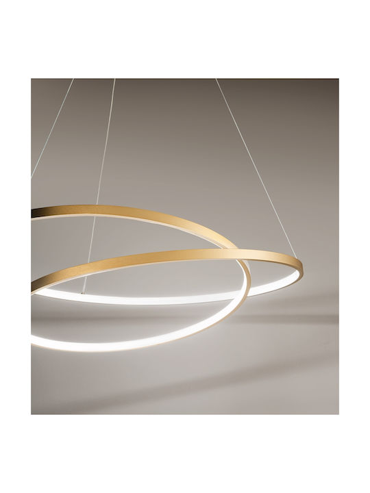 Fan Europe Led-Lieve-S80 Hängelampe Gold 80x11.2x150cm.