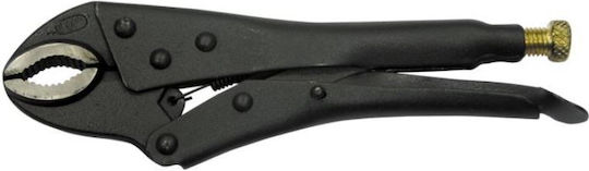 Proline Alică Curbată Lungime 250mm