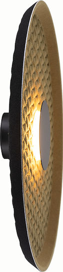 Sun Light Lamp Wall Green 45.5cm