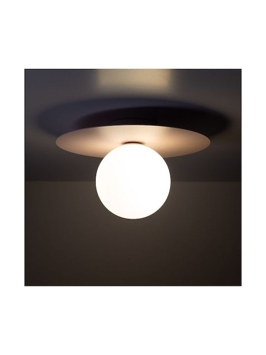 TK Lighting Μοντέρνο Φωτιστικό Τοίχου με Ντουί G9 Ροζ 15.5εκ.