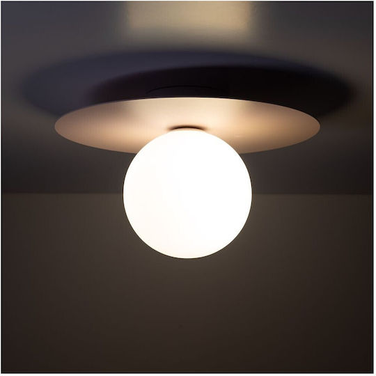 TK Lighting Модерен Осветително тяло За стена с фасунга G9 Розов 15.5см.