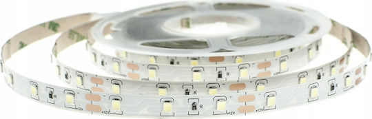 Eco Light Ταινία LED 12V Φυσικό Λευκό Φως 5m Τύπου SMD2835