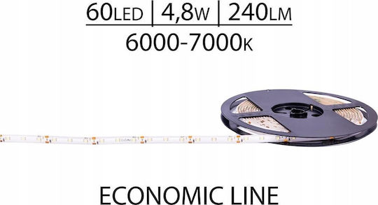 Prescot Ταινία LED 12V Ψυχρό Λευκό Φως Τύπου SMD2835