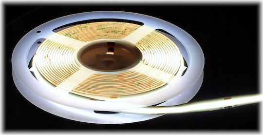 LED Strip 24V Cold White Light 5m COB Type
