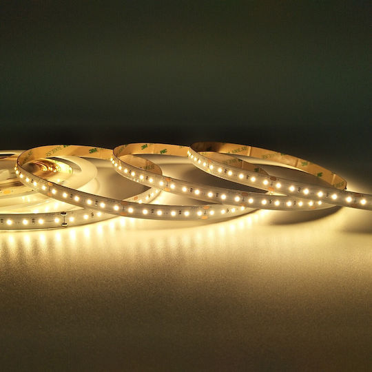 VK Lighting Ταινία LED 24V Θερμό Λευκό Φως 5m Τύπου SMD2216