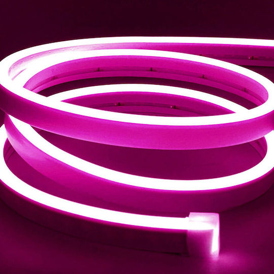 Αδιάβροχη Ταινία LED 12V Ροζ Φως 5m Τύπου COB