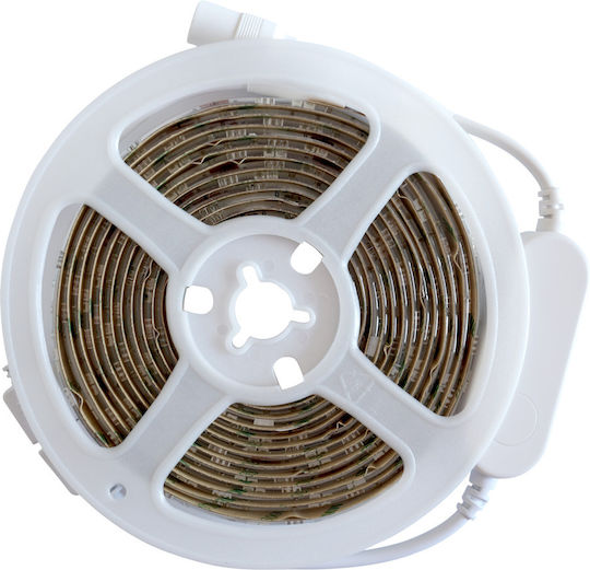 Eko Light Wasserdicht Smart LED-Streifen Wi-Fi 12V RGBW Licht 3m