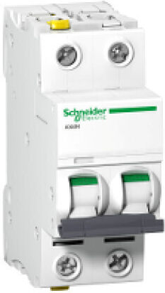 Schneider Electric Αυτόματη Ασφάλεια 1A Διπολική AC/DC A9F04201