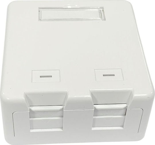 Lanview Surface Mount Box 2x