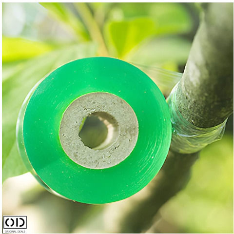 Grafting Tape Fruit Trees Premium Efficiency Material Transparent Size 100m X 6cm Original Deals
