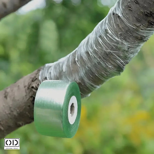 Grafting Tape Fruit Trees Premium Efficiency Material Transparent Size 100m X 6cm Original Deals