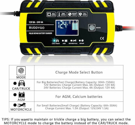 ACP Φορτιστής Μπαταρίας Αυτοκινήτου 12/24V