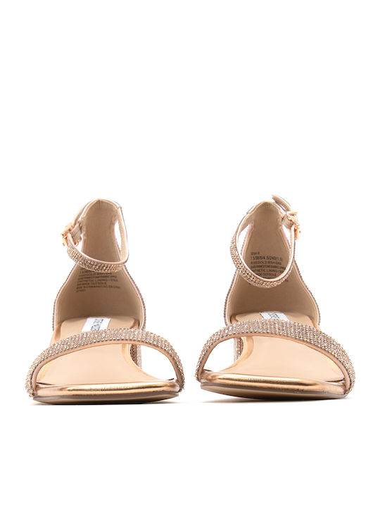 Steve Madden