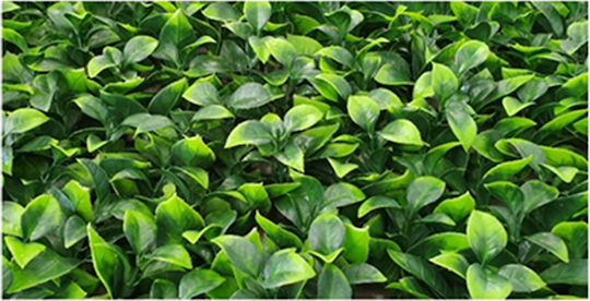 Ecoshadow Συνθετικό Πάνελ Φυλλωσιάς Βιβούρνο 1x1m