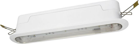 Awex LED Notausgangsleuchte mit Batteriebetrieben 1Stück