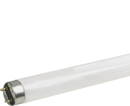 Aca Aca Fluorescent Lamp for G13 Socket with T8 Shape 18W