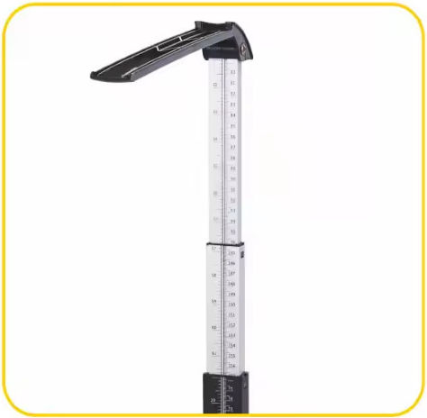 Scale