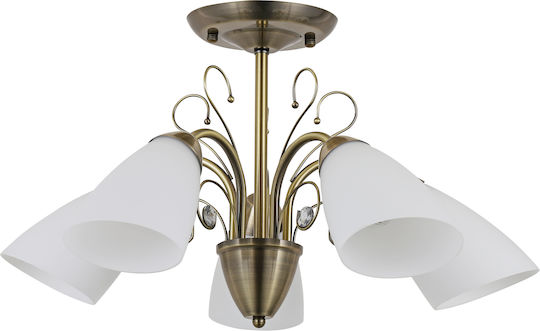 Agora Lighting Ceiling Light