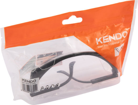 Kendo Safety Glasses for Protection with Transparent Lenses of PVC 1pcs