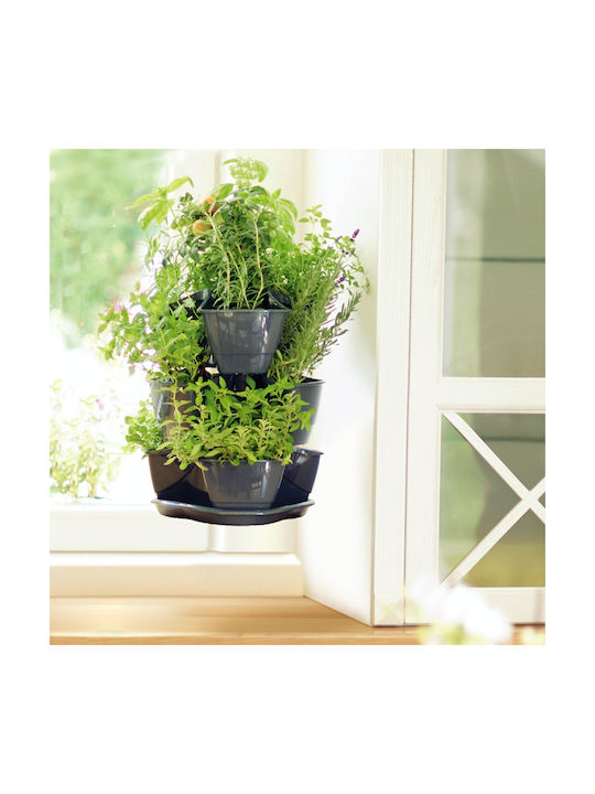 Prosperplast Γλαστράκια Βοτάνων Γλάστρα Πλαστική Anthracite 29.5x29.5x38εκ.