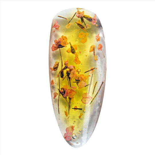 Alezori Flower Gel 13 6g