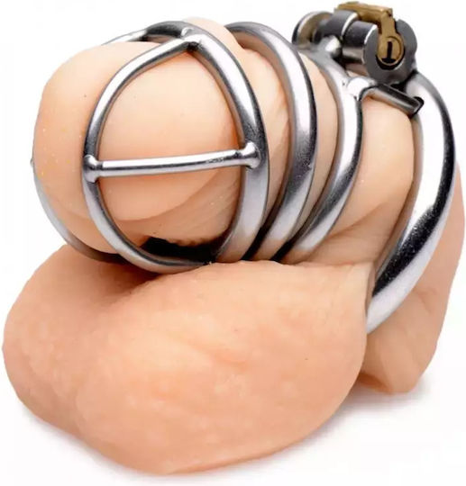 Xr Brands Pen Deluxe Lockable Cock Cage