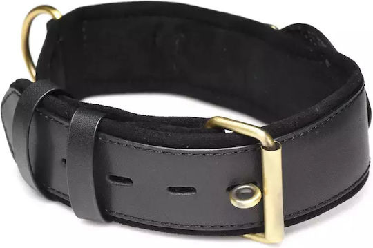 Xr Brands Tracking Collar