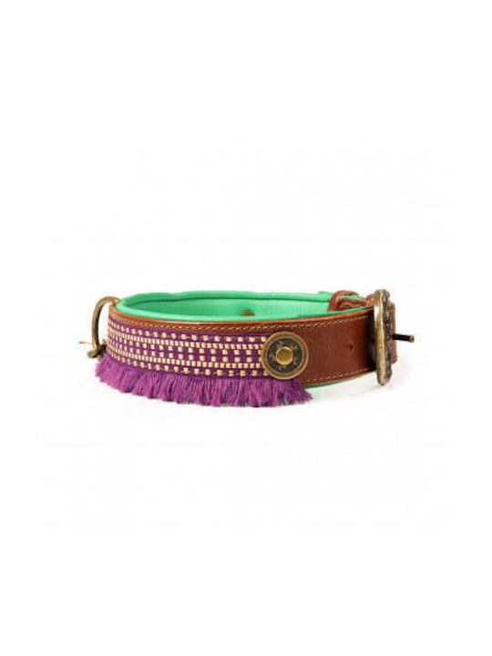 Zgarda Dwam Hazel S Zgarda Dwam Hazel S