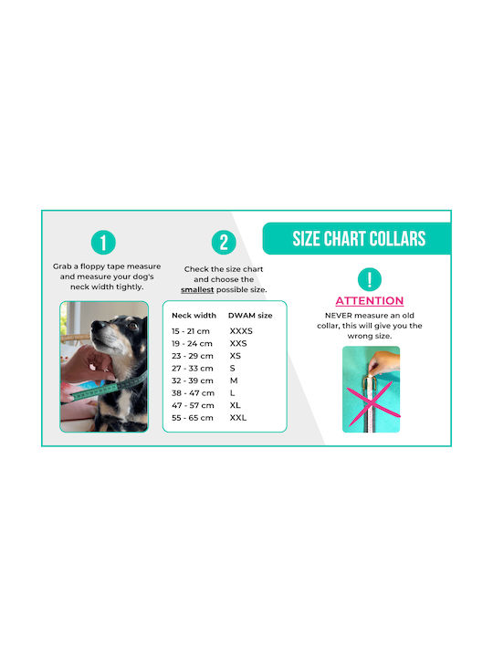 Περιλαίμιο Dwam Hazel Collar L