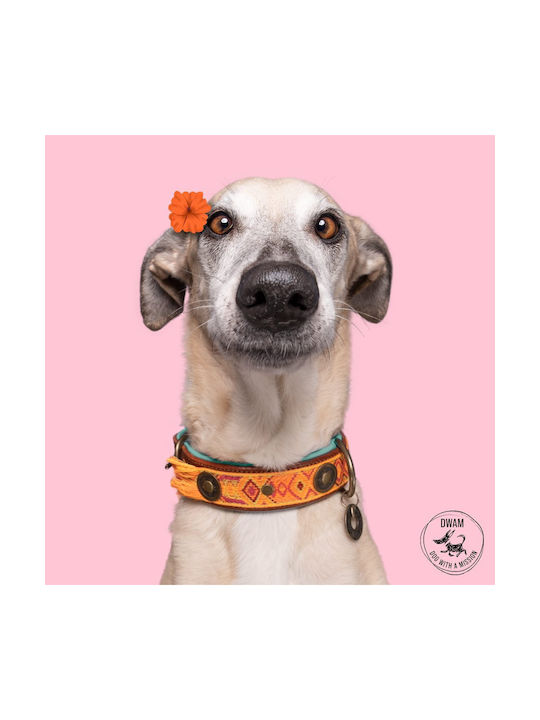Dwam Boho Chica Collar L