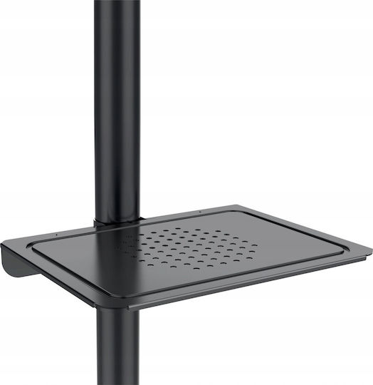 Maclean Energy MC-949 Βάση Τηλεόρασης Δαπέδου έως 55" και 25kg Ασημί