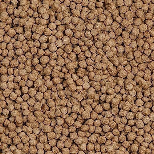 Sera Royal Large Τροφή για Ψάρια Γλυκού Νερού σε Κόκκους 21000ml