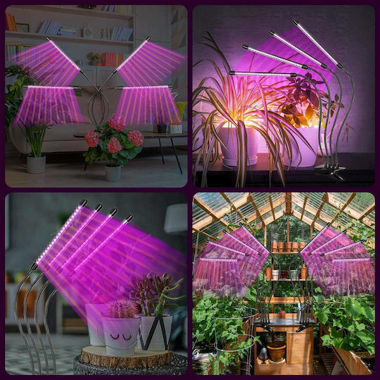 ACP Desk Grow Light with LED