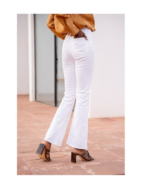 JD292B-WHITE