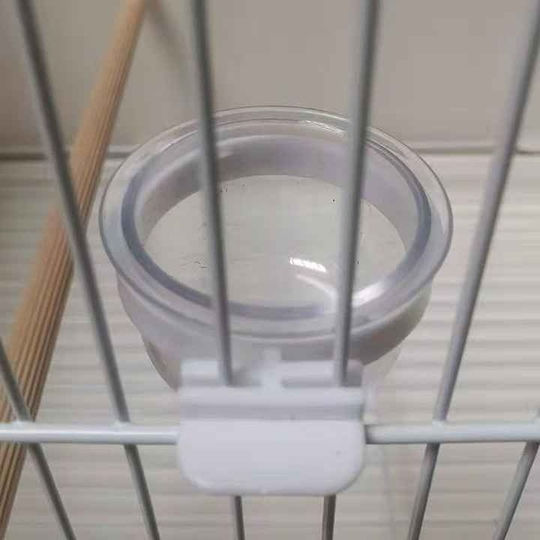 Small Feeder for Canary in Transparent Colour