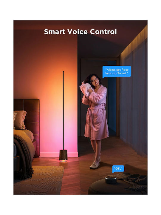 Govee Decorative Floor Lamp Smart RGBICWW with Speaker Floor Lamp Pro Black H6079