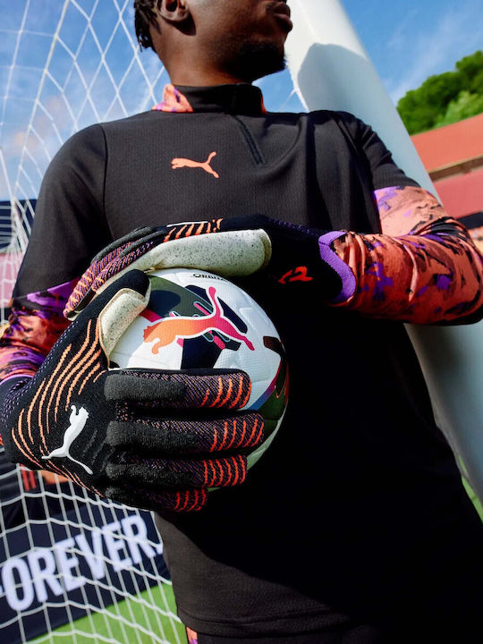 PUMA Future Ultimate Nc Adults Goalkeeper Gloves Black