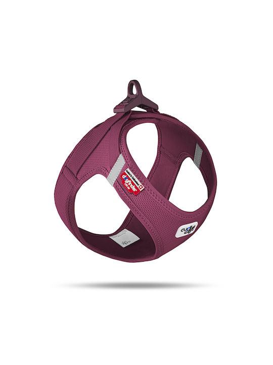 Ham Curli Air-mesh L Albastru Cer Curli