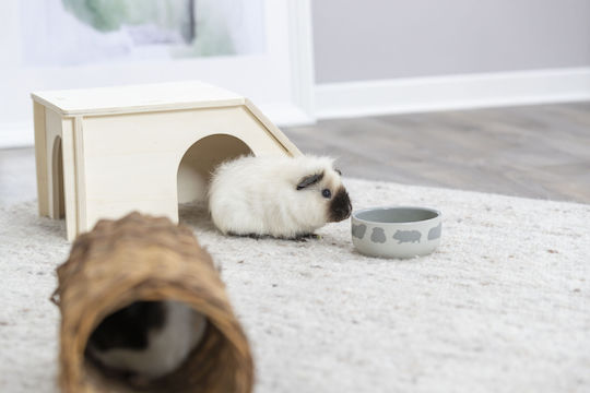 Trixie House for Rabbit