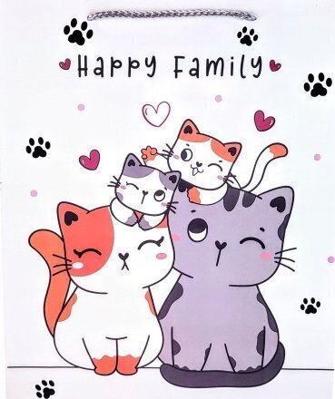Ast Bag X 12 Gift Cats 4 Wz 40x30x12 Cm