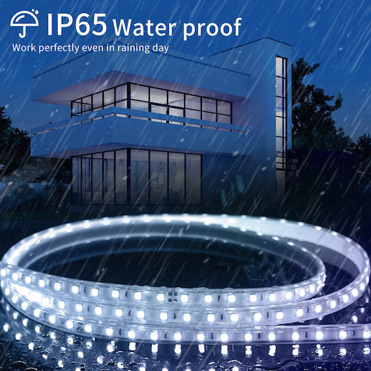 Aigostar Wasserdicht LED-Streifen 220V Kaltweiß Licht 1m Typ SMD5050