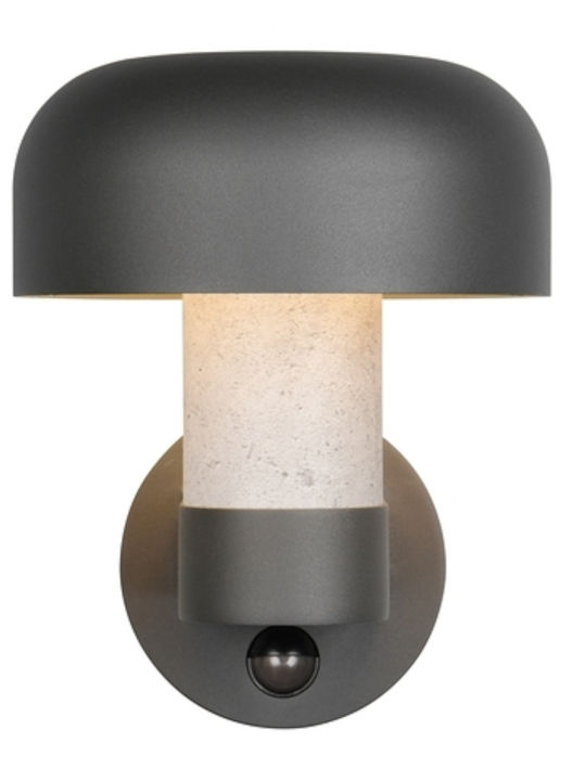 Trio Lighting Fraser Wandmontierte Außenleuchte