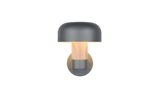 Trio Lighting Fraser Lumină de exterior montată pe perete