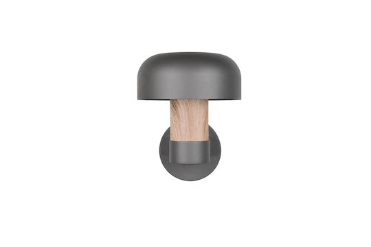 Trio Lighting Fraser Lumină de exterior montată pe perete
