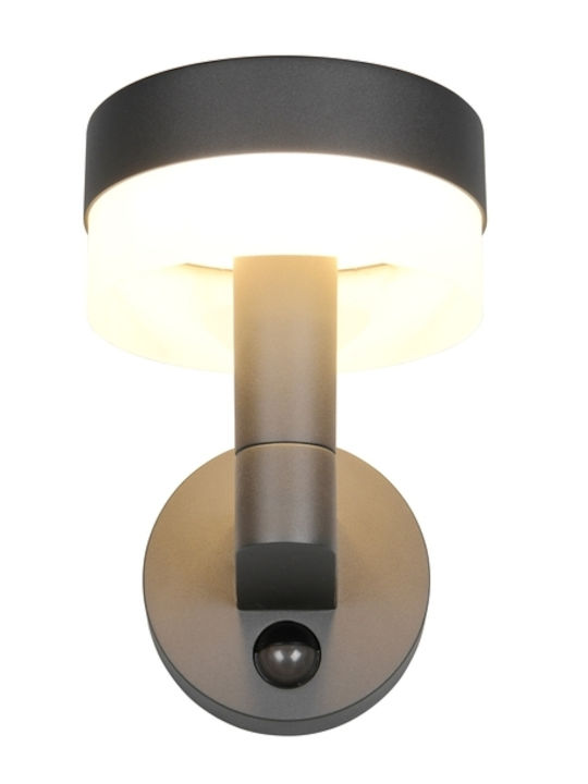 Trio Lighting Mackenzie Стенно Външно Осветително Тяло