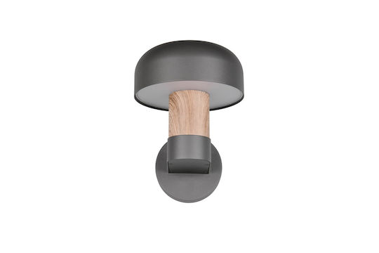 Trio Lighting Fraser Lumină de exterior montată pe perete