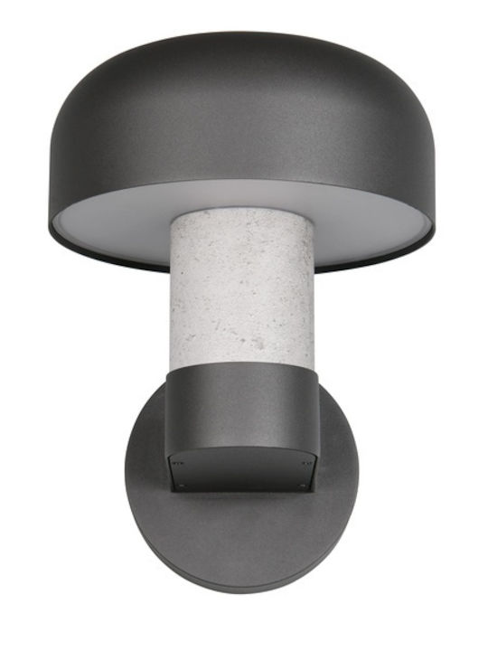 Trio Lighting Fraser Lumină de exterior montată pe perete