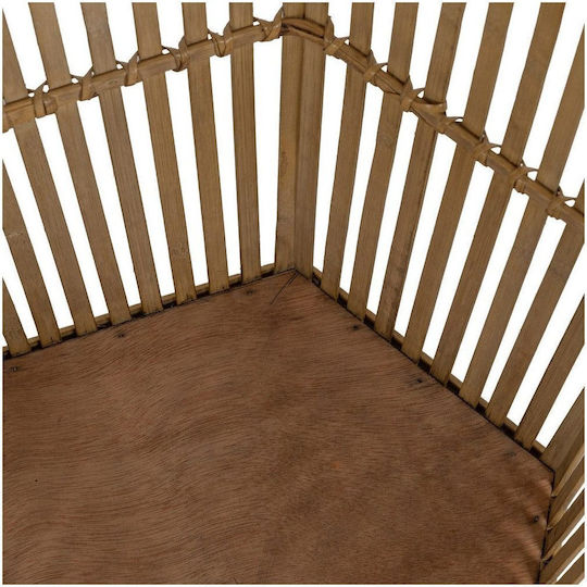 Ixia Regal Σετ 2 Γλάστρες Bamboo
